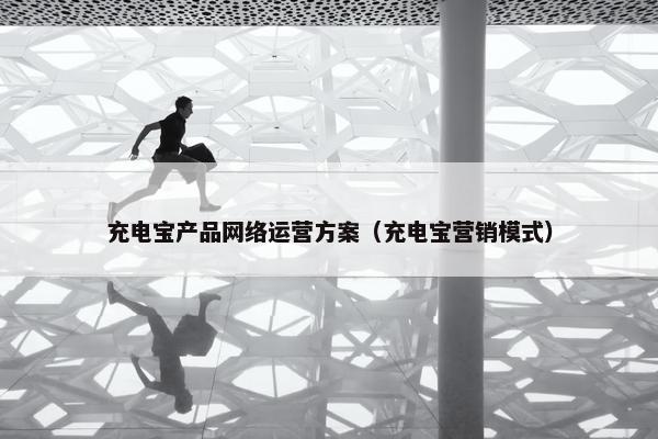 充电宝产品网络运营方案（充电宝营销模式）