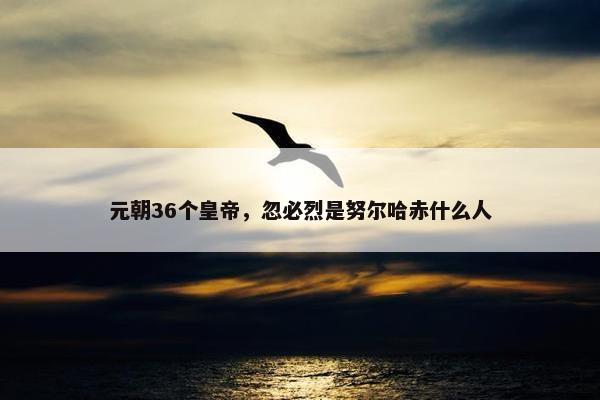 元朝36个皇帝，忽必烈是努尔哈赤什么人
