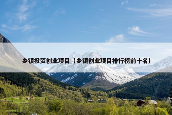 乡镇投资创业项目（乡镇创业项目排行榜前十名）