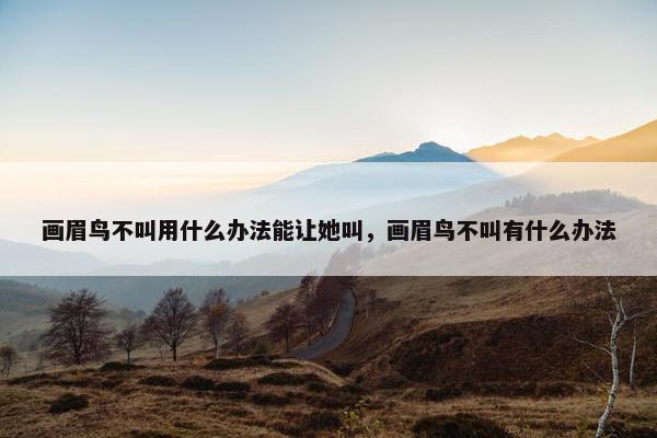 画眉鸟不叫用什么办法能让她叫，画眉鸟不叫有什么办法