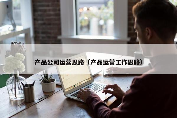 产品公司运营思路（产品运营工作思路）