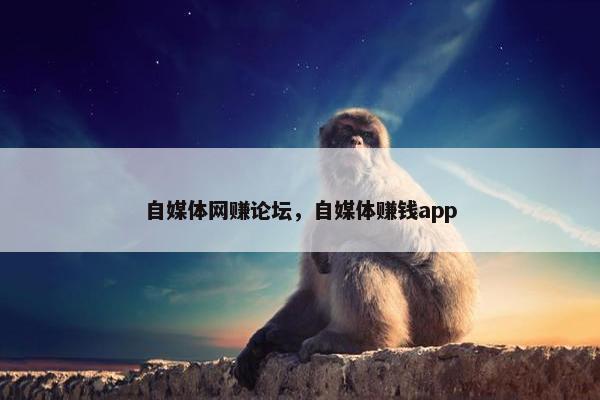 自媒体网赚论坛，自媒体赚钱app