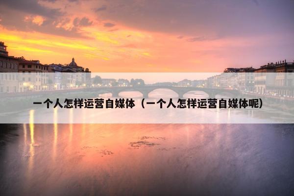 一个人怎样运营自媒体（一个人怎样运营自媒体呢）