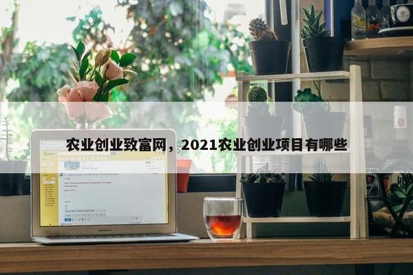 农业创业致富网，2021农业创业项目有哪些