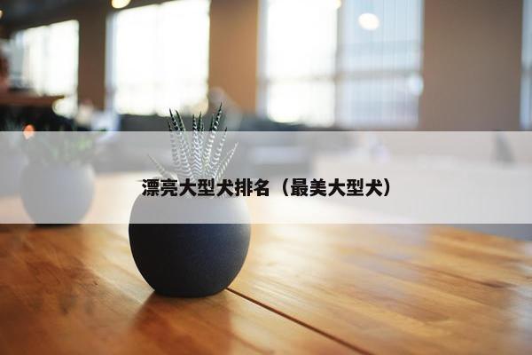 漂亮大型犬排名（最美大型犬）