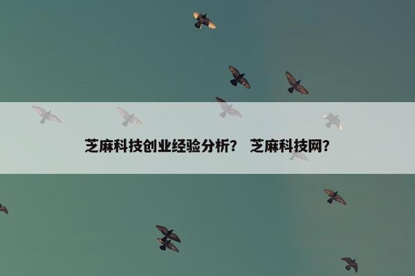 芝麻科技创业经验分析？ 芝麻科技网？