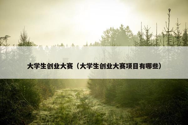 大学生创业大赛（大学生创业大赛项目有哪些）