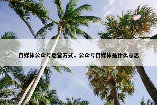 自媒体公众号运营方式，公众号自媒体是什么意思