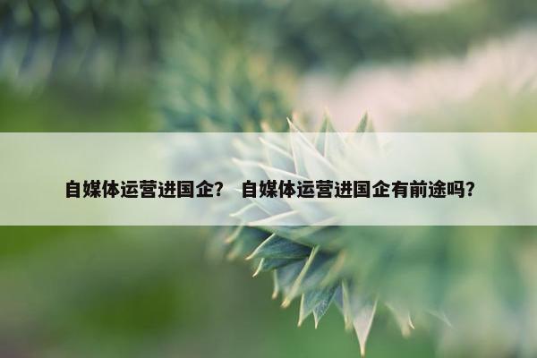 自媒体运营进国企？ 自媒体运营进国企有前途吗？