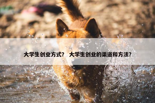 大学生创业方式？ 大学生创业的渠道和方法？