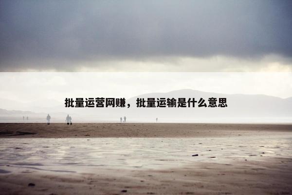 批量运营网赚，批量运输是什么意思