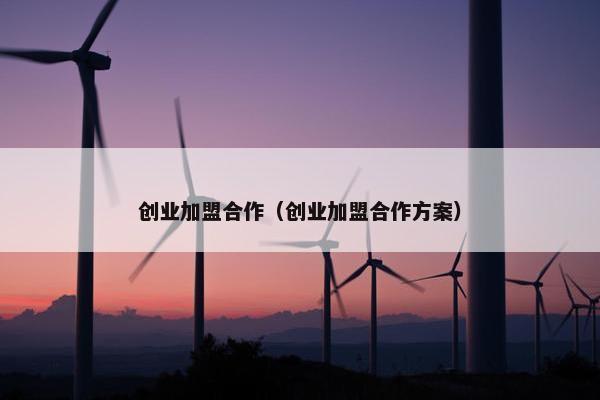 创业加盟合作（创业加盟合作方案）