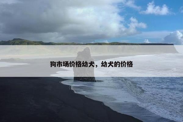 狗市场价格幼犬，幼犬的价格
