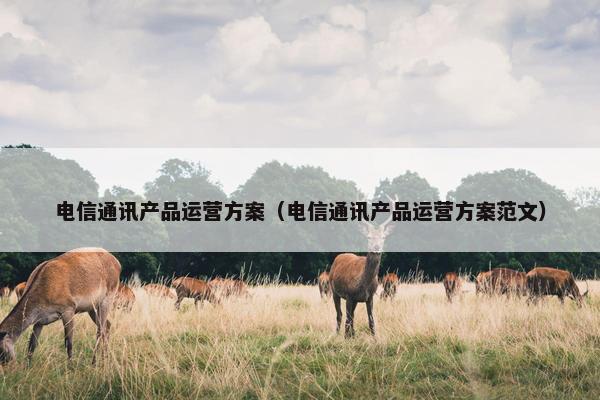 电信通讯产品运营方案（电信通讯产品运营方案范文）