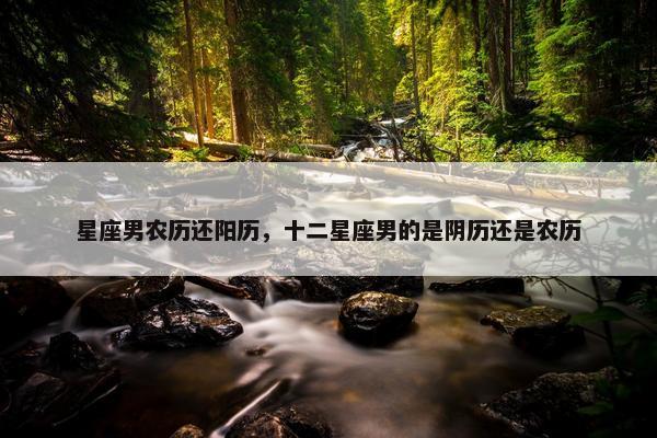 星座男农历还阳历，十二星座男的是阴历还是农历