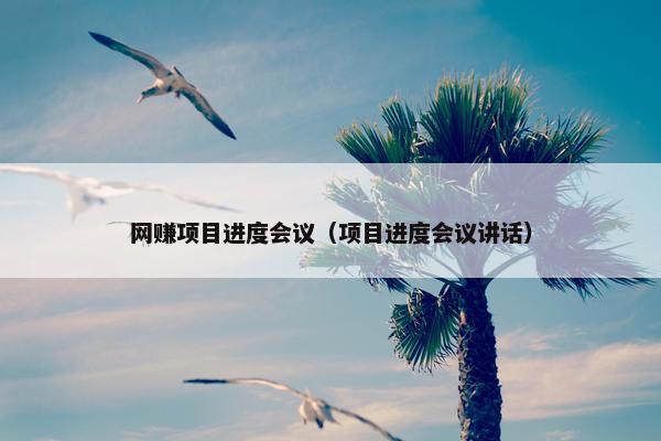 网赚项目进度会议（项目进度会议讲话）