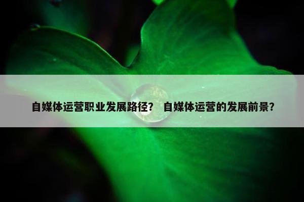 自媒体运营职业发展路径？ 自媒体运营的发展前景？