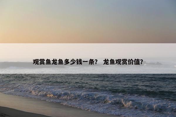 观赏鱼龙鱼多少钱一条？ 龙鱼观赏价值？