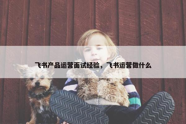 飞书产品运营面试经验，飞书运营做什么