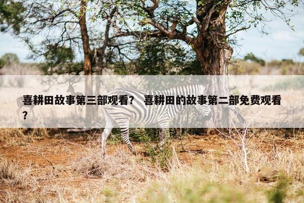 喜耕田故事第三部观看？ 喜耕田的故事第二部免费观看？