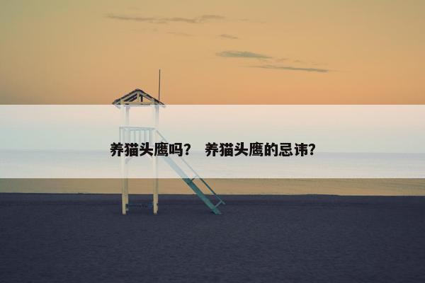 养猫头鹰吗？ 养猫头鹰的忌讳？