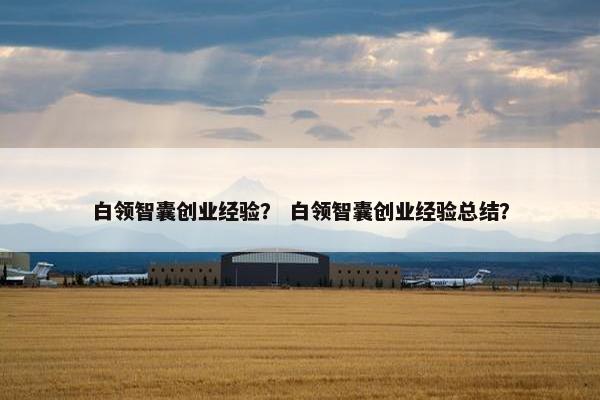 白领智囊创业经验？ 白领智囊创业经验总结？