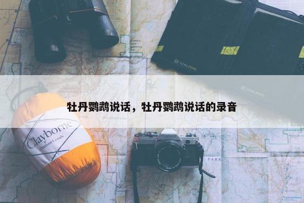 牡丹鹦鹉说话，牡丹鹦鹉说话的录音