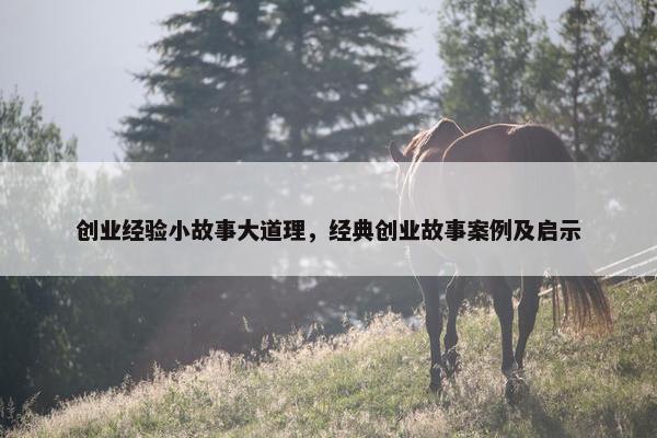 创业经验小故事大道理，经典创业故事案例及启示