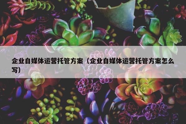企业自媒体运营托管方案（企业自媒体运营托管方案怎么写）