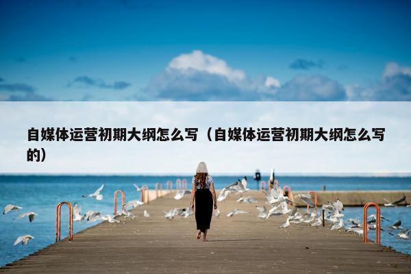 自媒体运营初期大纲怎么写（自媒体运营初期大纲怎么写的）