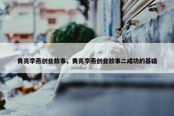 黄亮李燕创业故事，黄亮李燕创业故事二成功的基础