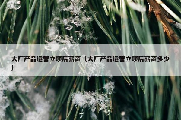 大厂产品运营立项后薪资（大厂产品运营立项后薪资多少）
