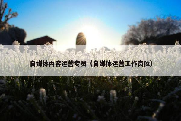 自媒体内容运营专员（自媒体运营工作岗位）