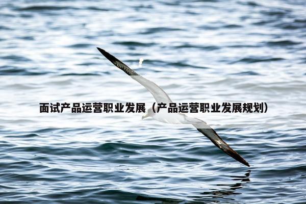 面试产品运营职业发展（产品运营职业发展规划）