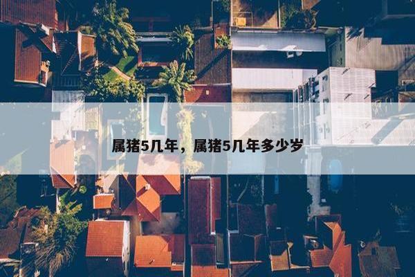 属猪5几年，属猪5几年多少岁