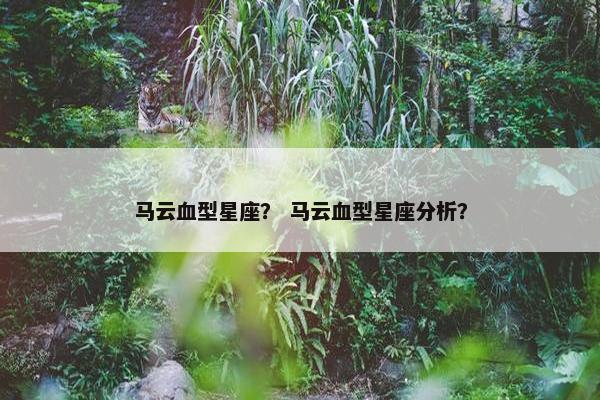马云血型星座？ 马云血型星座分析？