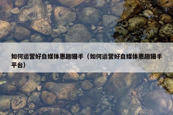 如何运营好自媒体惠趣猎手（如何运营好自媒体惠趣猎手平台）