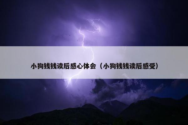 小狗钱钱读后感心体会（小狗钱钱读后感受）