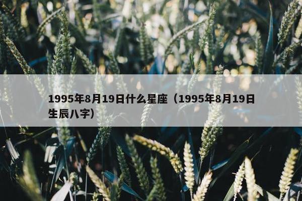 1995年8月19日什么星座（1995年8月19日生辰八字）