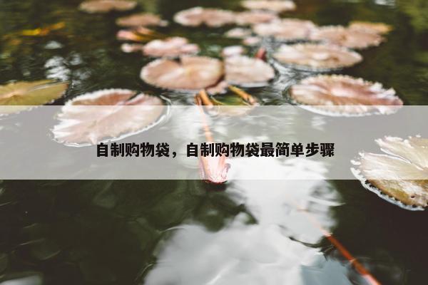 自制购物袋，自制购物袋最简单步骤