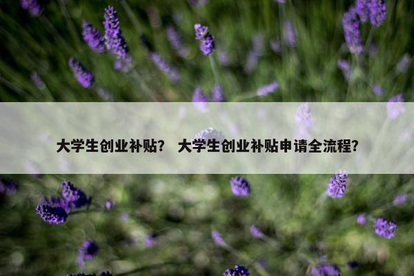 大学生创业补贴？ 大学生创业补贴申请全流程？