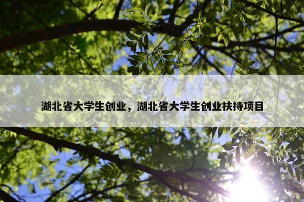 湖北省大学生创业，湖北省大学生创业扶持项目