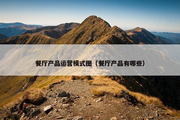 餐厅产品运营模式图（餐厅产品有哪些）
