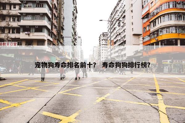 宠物狗寿命排名前十？ 寿命狗狗排行榜？