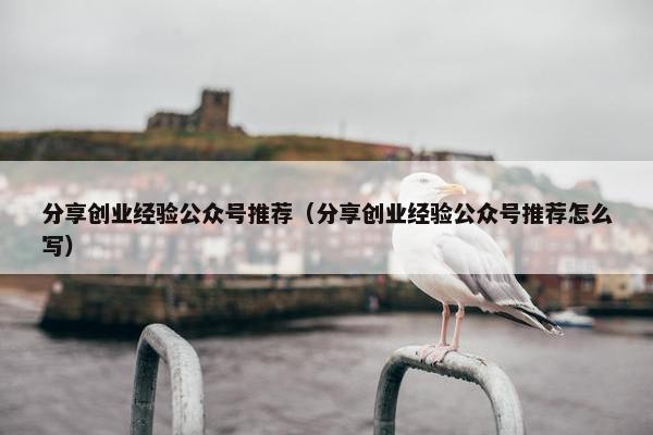 分享创业经验公众号推荐（分享创业经验公众号推荐怎么写）
