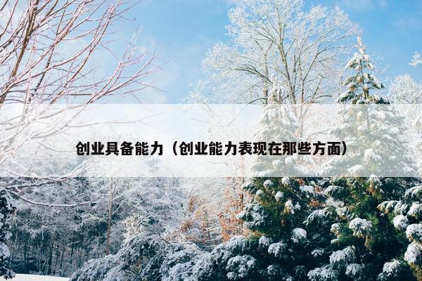 创业具备能力（创业能力表现在那些方面）