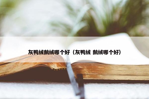 灰鸭绒鹅绒哪个好（灰鸭绒 鹅绒哪个好）