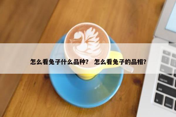 怎么看兔子什么品种？ 怎么看兔子的品相？