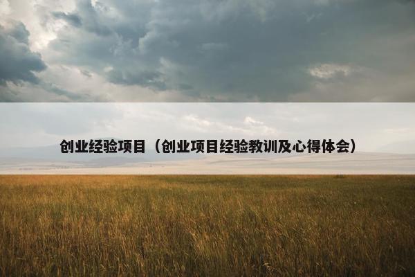 创业经验项目（创业项目经验教训及心得体会）
