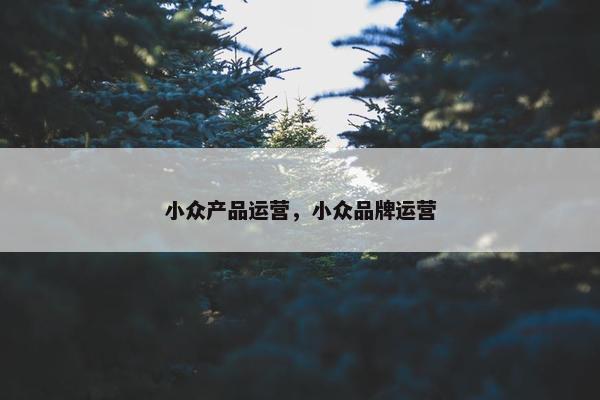 小众产品运营，小众品牌运营